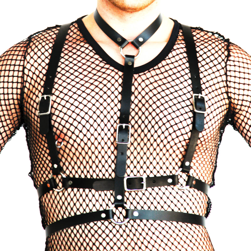 ((harnesses))