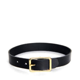 Black leather choker with brass buckle on a white background.