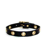 Black leather choker with large grommets and brass hardware on a white background.