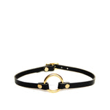 Black leather collar with brass o-ring and hardware.
