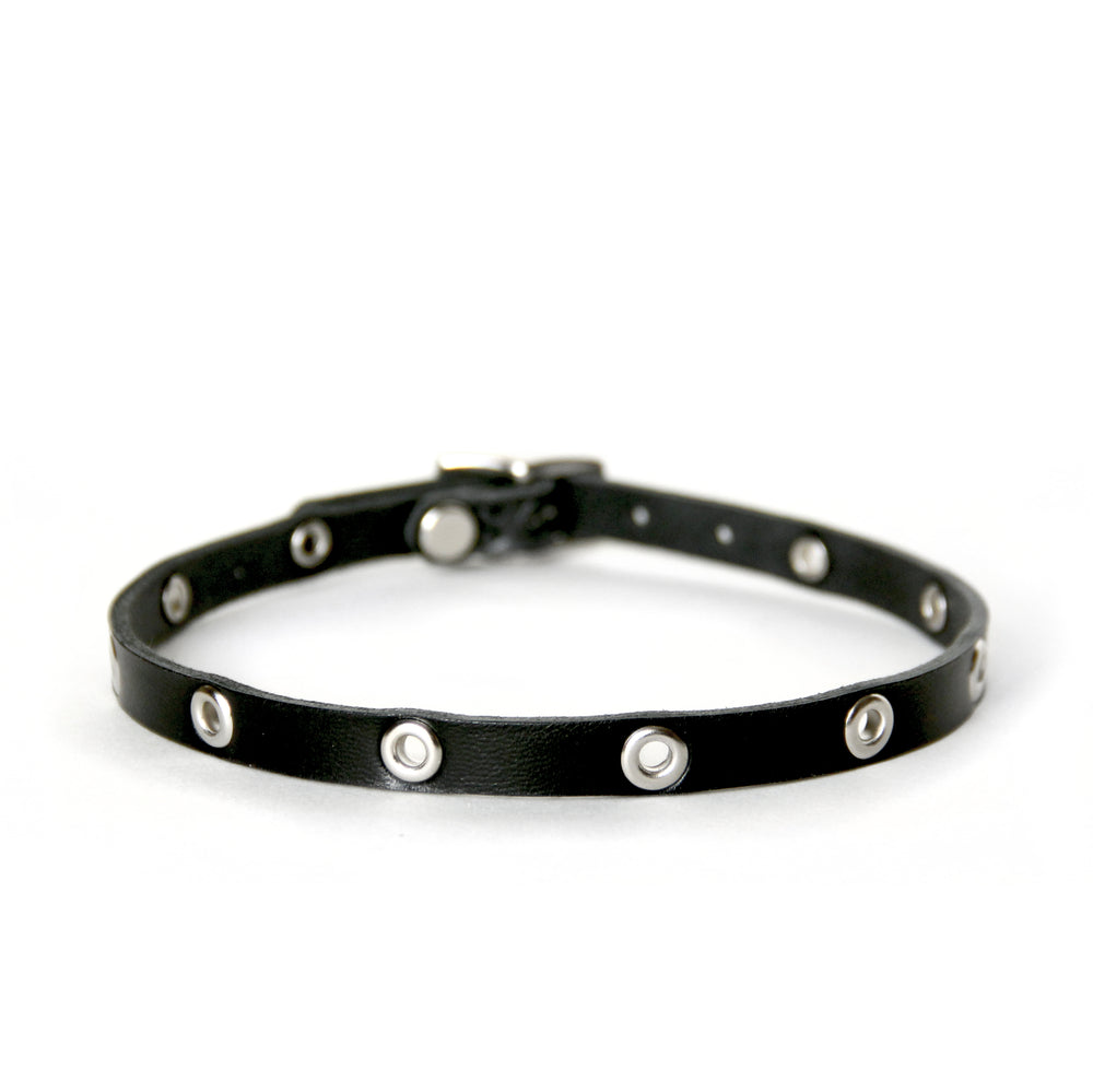 Thin black leather collar with silver grommets on a white background.