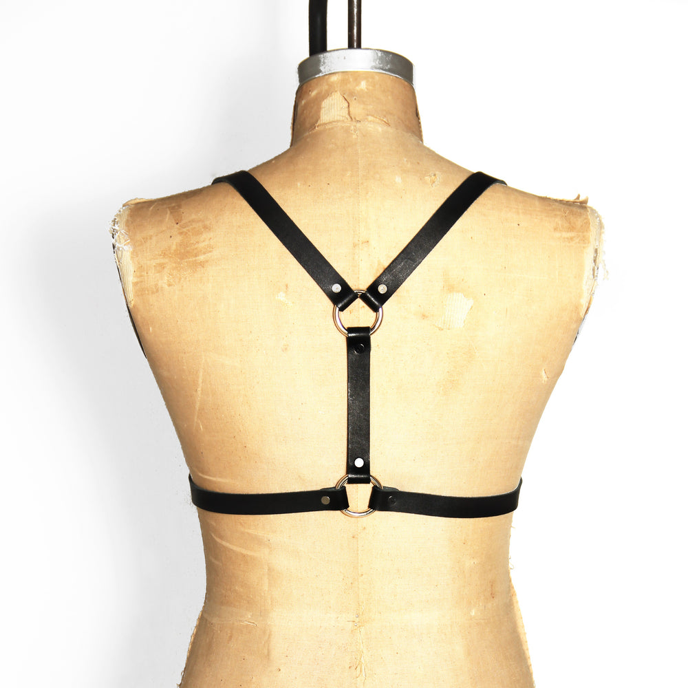 Half suspender harness back view